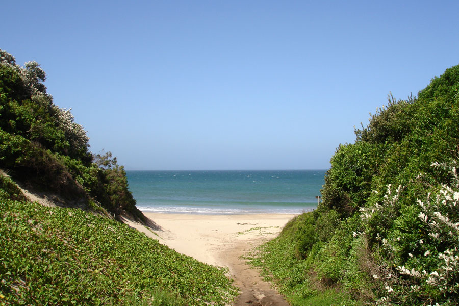 0 Bedroom Property for Sale in Khamanga Bay Eastern Cape